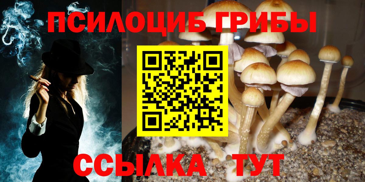 где продают   Вход с VPN  Чита  Псилоцибиновые грибы Psilocybe  Галлюциногенные грибы Psilocybine cubensis 