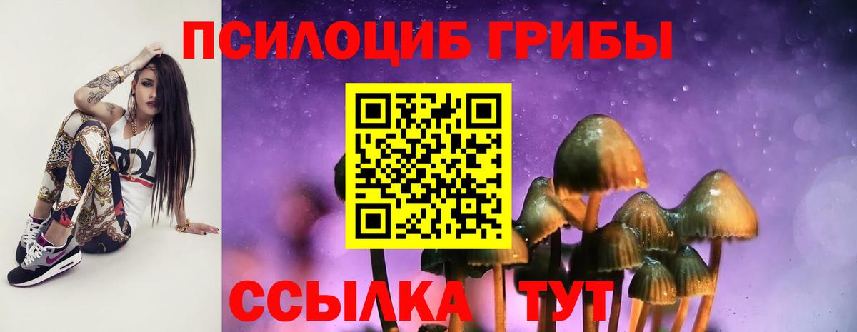 Псилоцибиновые грибы Psilocybine cubensis Чита
